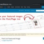 Post List Featured Image